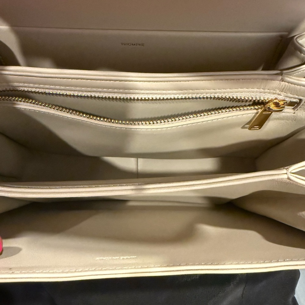 Celine Triomphe Bag in Shiny Calfskin - Picture 15 of 16